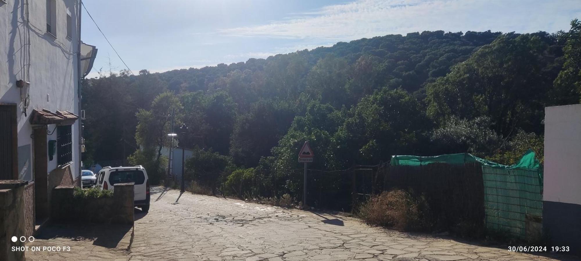 Mi Descanso El Bosque Dış mekan fotoğraf
