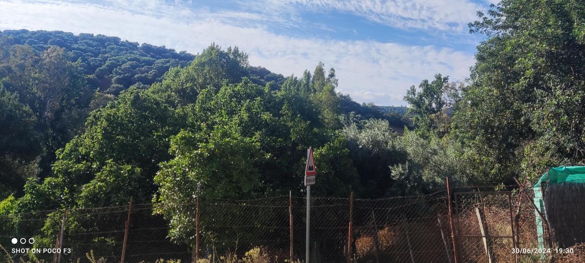 Mi Descanso El Bosque Dış mekan fotoğraf
