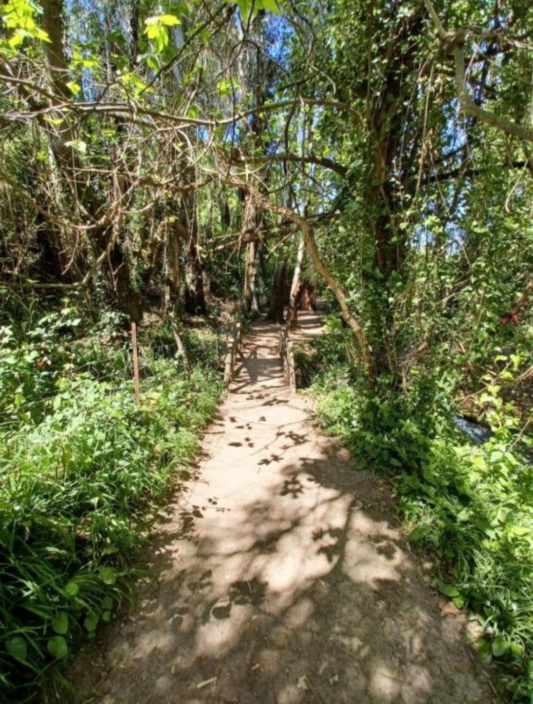 Mi Descanso El Bosque Dış mekan fotoğraf
