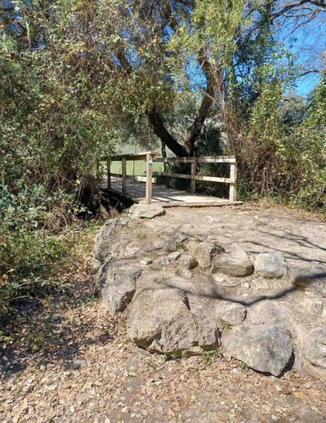 Mi Descanso El Bosque Dış mekan fotoğraf